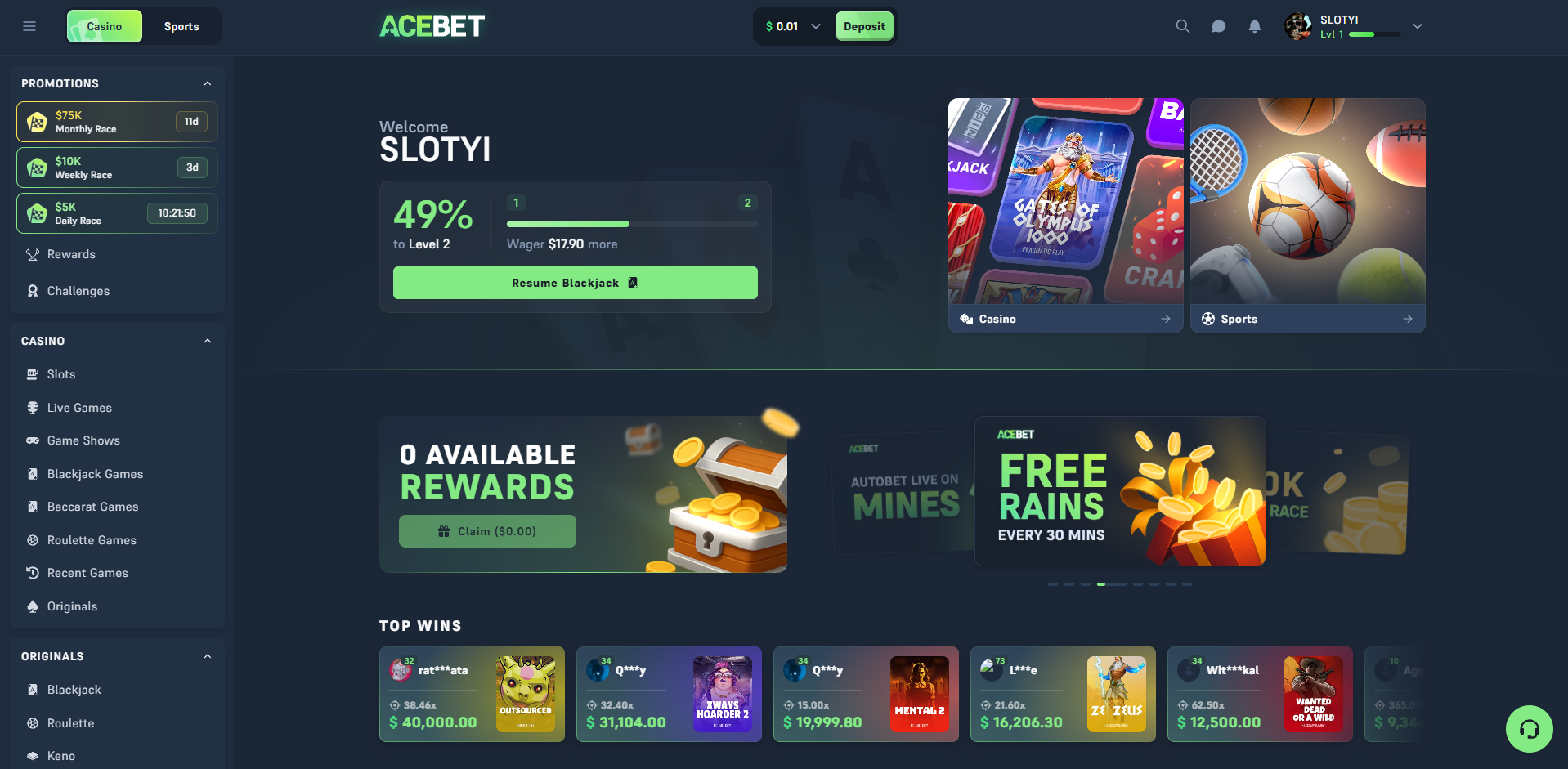 ACEBET.COM Review