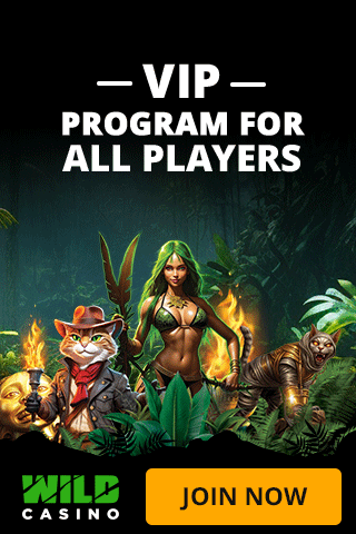 Promo Banner