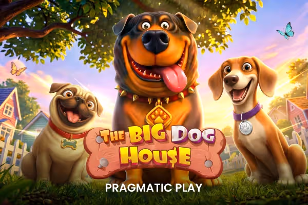 The Big Dog House
